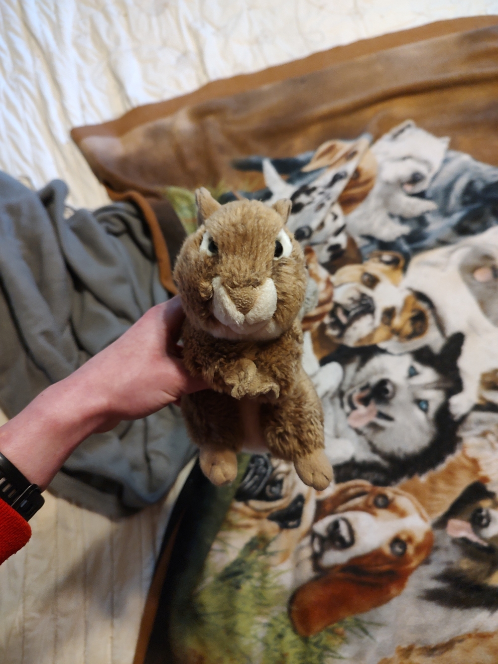 Signature Chipmunk Webkinz - Picture 2 of 2